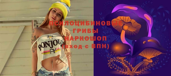 молекула духа Гусев