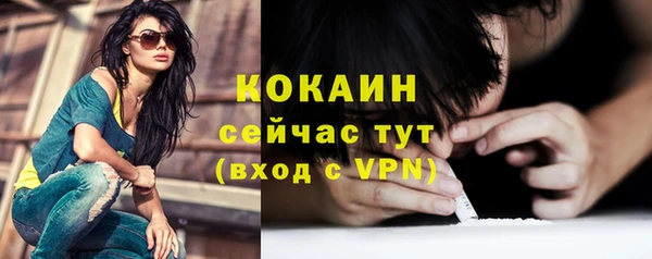 молекула духа Гусев