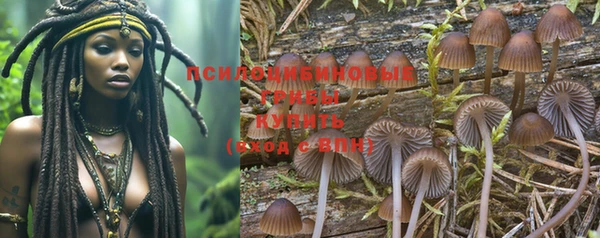 спиды Гусиноозёрск