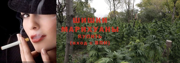 молекула духа Гусев