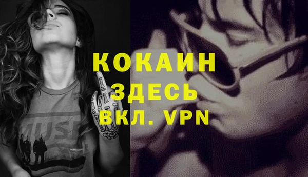 молекула духа Гусев
