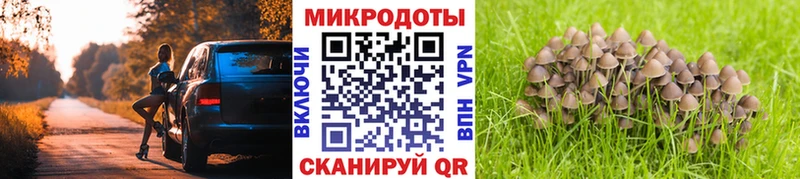 Галлюциногенные грибы мицелий Северо-Курильск