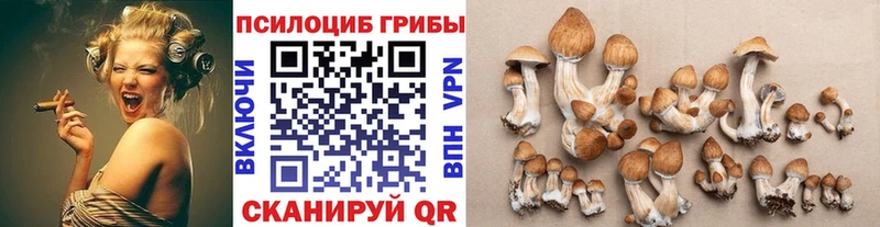 Псилоцибиновые грибы мухоморы Северо-Курильск